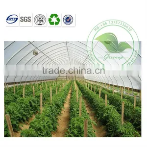 Large Clear Transparent PVC Arch Greenhouse For Agriculture thumbnail-2