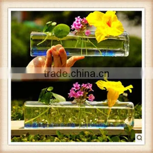Clear Glass Vases thumbnail-1