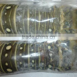 Spiny Lobster Tails (p Argus) thumbnail-1