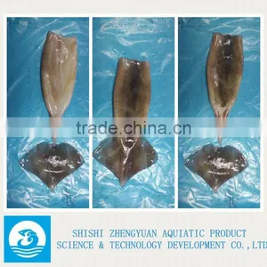 FROZEN SQUID WING thumbnail-2