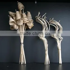 Reed thumbnail-1