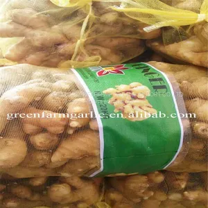 Jining Greenfarm Fresh Yellow Ginger thumbnail-3