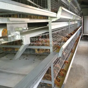 Djibouti Poultry Farm Battery Broiler Cage & Meat Chicken Cage & Chicken Coop in Chicken Shed thumbnail-2
