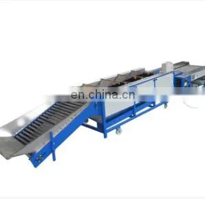 Orang Sorter Machine/ Mandarin Orange Sorting Machine/ Apple Grading Machine thumbnail-5