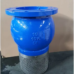 ANSI CPVC Plastic Foot Valve Single Union Connection Non-return Bottom Valve Corrosion Resistant for Chemical Piping thumbnail-3