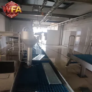 WFA Heavy-Duty Cattle Slaughtering Line 17 Years Experience 15,000 Sqm Factory Direct Abattoir Equipment Slaughterhouse for Cows thumbnail-2