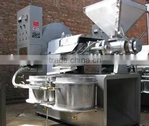 Pinenut Oil Press Machinery thumbnail-1
