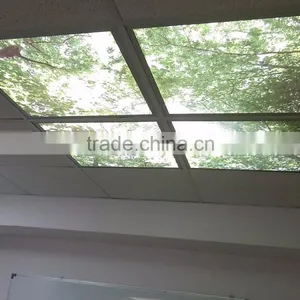 MICROSTONE 3x2 Customized Colorful SKY Led Ceiling Mount Light thumbnail-6