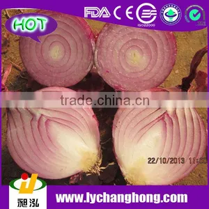 2014 Fresh Red Onion Supplier From China thumbnail-1