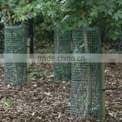 Plastic Extruded Tree Mesh Guard thumbnail-3