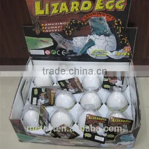 Growing Hatching Dinosaur Egg Toy thumbnail-1