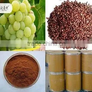 Grape Seed Extracts/GSPE thumbnail-1