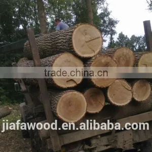 White Birch Logs, Baltic Birch Logs, Latvia Birch Logs Quality Choice thumbnail-3