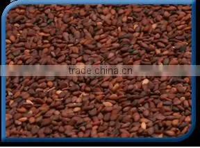 Brown Sesame Seeds thumbnail-1