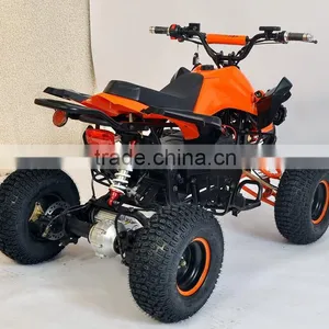 Shaft Drive Powerful Electric Quads With 800W Bushless Motor thumbnail-5