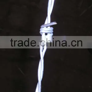 Barbed Wire thumbnail-1