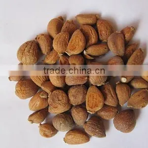 Roasted Garlic Clove Whole- Strong Taste & Flavor thumbnail-1