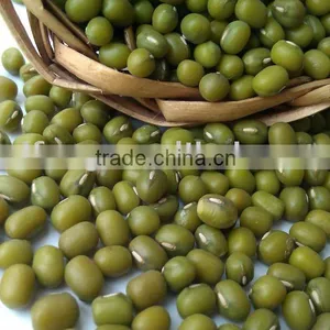 Organic Mung Bean for Sprouting,2011 Crop. Hps thumbnail-1