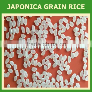 Japonica Rice - Best Quality - Best Price(Mr.Ken - Email: Sales3@vinarice.vn - Website: Sonainter3) thumbnail-1