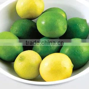 Lemon Importer in Dubai / Malaysia / Singapore / Vietnam / Thailand / Maldives thumbnail-1