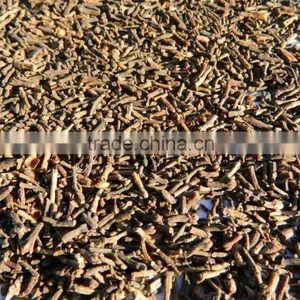 Clove Stem thumbnail-2