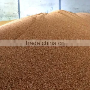 Yellow Corn , Yellow Maize , Non GMO Yellow Corn thumbnail-4