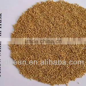 2012 Yellow Millet in Husk MC thumbnail-1