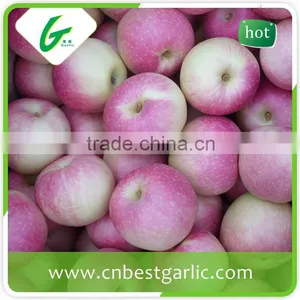 New Crop Class 1 Fresh Royal Gala Apple thumbnail-1