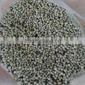 VIETNAM WHITE PEPPER thumbnail-5