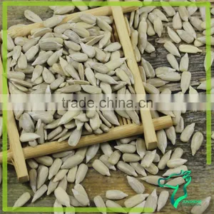 High Grade 2016 Sunflower Seeds Kernel On Sale thumbnail-3