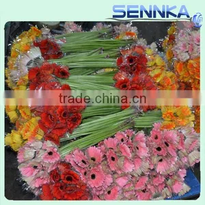 Honey Gerbera Natural Fresh Gerbera Bouquets thumbnail-6