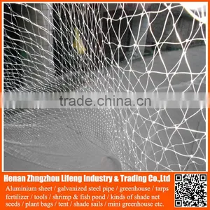 New Arrival Orchard Grape HDPE Anti Bird Netting , pe Plastic Knotted Mesh Bird Netting thumbnail-6