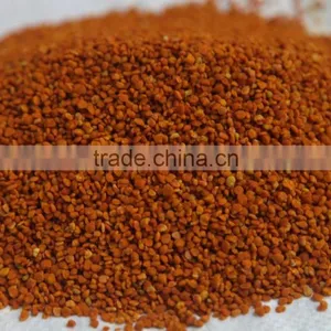 Sweet Camellia Bee Pollen Exporting to EU thumbnail-1