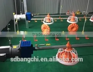 High Quality Automatic Chain Feeding System for Breeder thumbnail-1