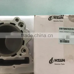 HISUN 700cc ATV Spare Parts Cylinder Body Assy P0070001211A0000 thumbnail-5