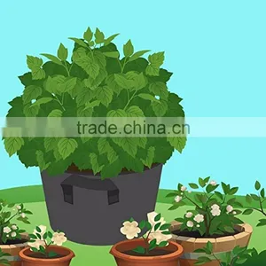 Tan Colour Non Woven Fabric Grow Pot thumbnail-1