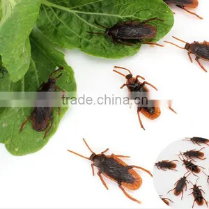Cockroach Shape Toy, Halloween Trick, Creative Toys,April Fools'Day thumbnail-2