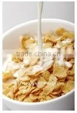 Corn Flakes Manufacturer/snacks Food Machine/grain Processing Machine o thumbnail-1