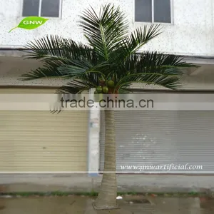 GNW APM028 Best Quality 20ft High Coconut Palm Tree For Park Outdoor Use thumbnail-6