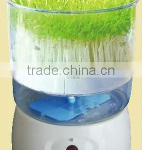 Automatic Bean Sprout Machine thumbnail-1