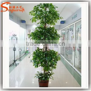 Large Outdoor Bonsai Trees Banyan Wholesale Bonsai Trees Ficus Microcarpa Bonsai Trees thumbnail-6