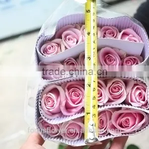 on Line Shopping Fresh Rose Flowered Trim Fresh Cut Flowers Kenya for Home Decoration thumbnail-6