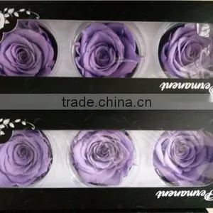 Everlasting Rose A Grade 6 to 7 cm Preserved Rose From Yunnan thumbnail-4