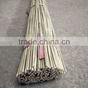8~10mm * 120cm Dried Tonkin Bamboo Sticks thumbnail-1