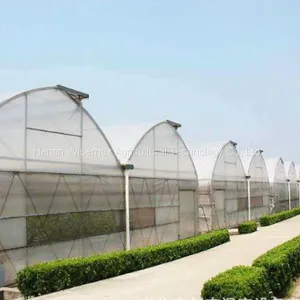 Durable Multi Span Agriculture Equipment Polythene Greenhouse thumbnail-2
