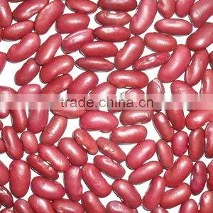 Organic Kidney Bean thumbnail-1