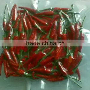 High Quality Frozen Hot Red Chili Pepper From Vietnam thumbnail-2