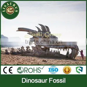 Lisaurus-C-Nice Dinosaur Skeleton Fossil thumbnail-4