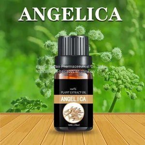 Angelica Root Oil Chinese Herbal Extract Pure Natural Oil thumbnail-1