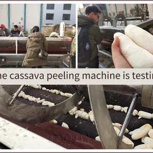 2026 New Arrival Cassava Processing Machine in Nigerian Warehouse Cassava Peeler for Garri/Flour Making Eplucheur De Manioc thumbnail-1